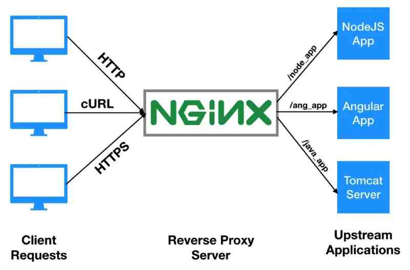 反代与 IP 实战指南：免费 Token 玩法下卷（Cloudflare Workers / Nginx / Caddy）
